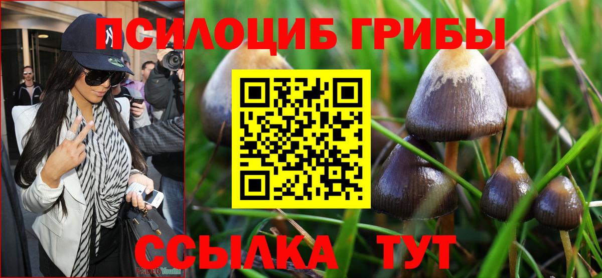 Галлюциногенные грибы Cubensis Каменск-Уральский